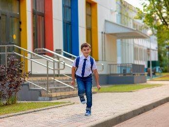 Top 7 Website Designs for Schools in 2024